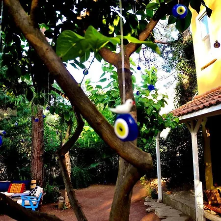 Daphne House 2*