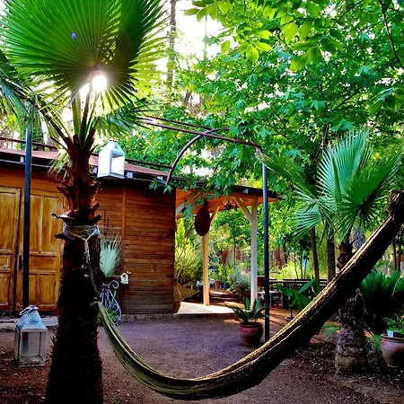Daphne House بيت ضيافة