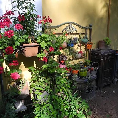 Daphne House Гостевой дом 2*