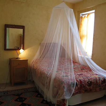 Gæstehus Daphne House Olympos