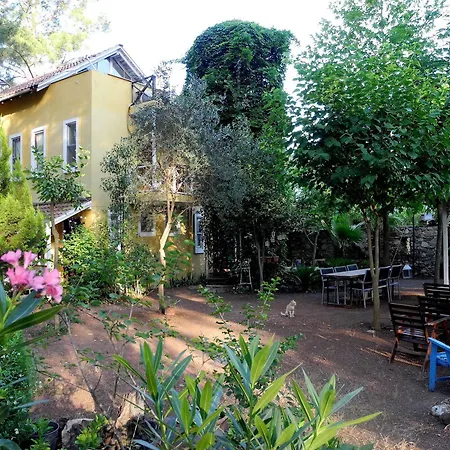 Daphne House 2*