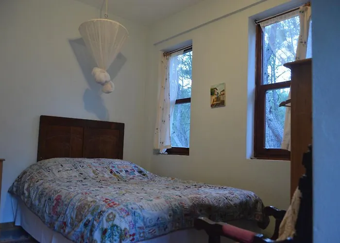 Daphne House Гостевой дом 2*