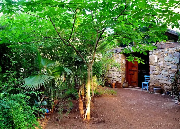 Daphne House 2* Олимпос