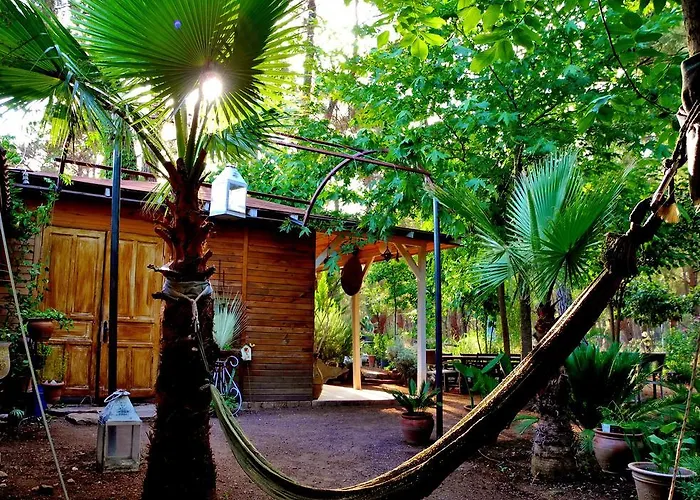 Daphne House Гостевой дом