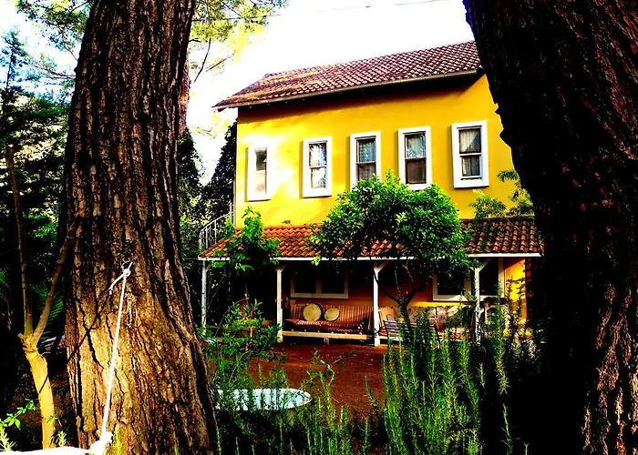 Гостевой дом Daphne House 2*