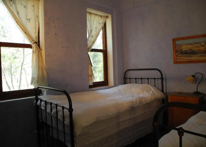 Daphne House Гостевой дом Олимпос