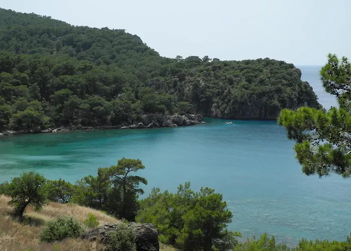 Daphne House 2* Олимпос