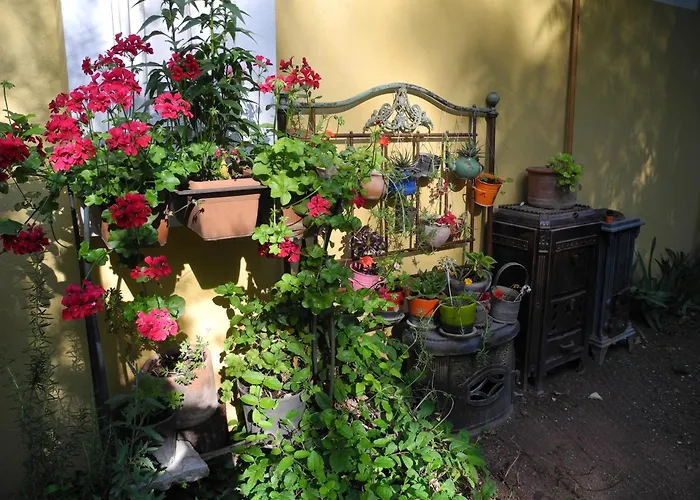 Daphne House Гостевой дом 2*