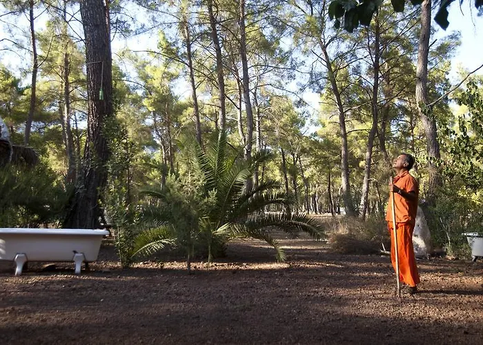 Гостевой дом Daphne House 2*