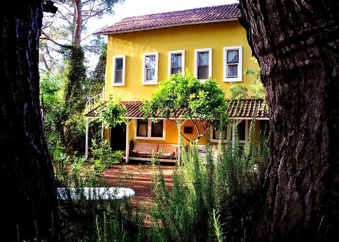 Daphne House 2* Олимпос