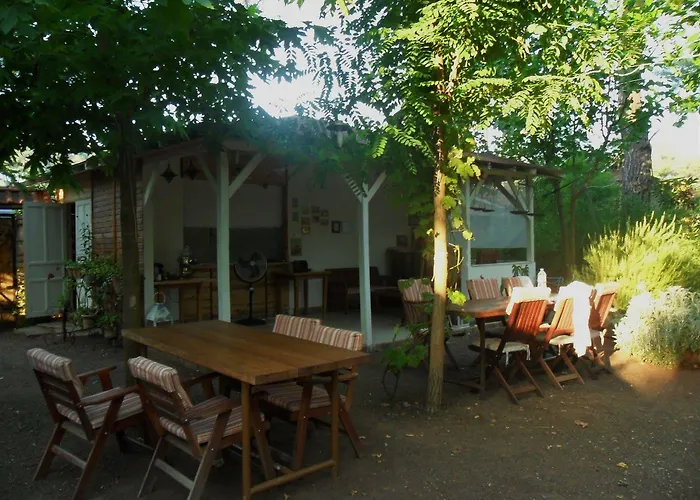 Daphne House 2* Олимпос