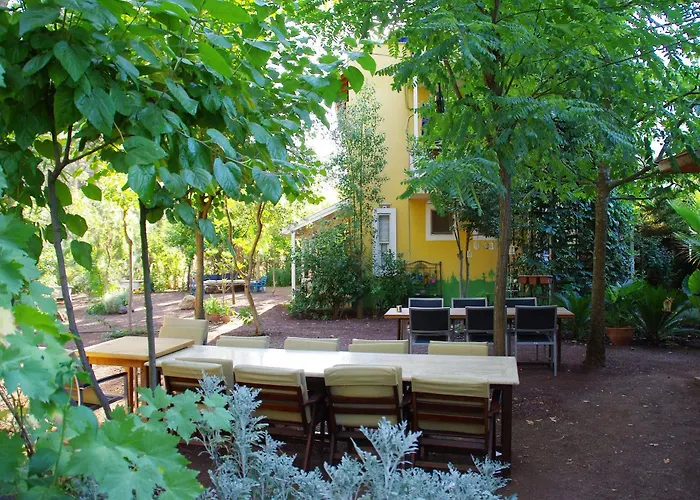 Гостевой дом Daphne House