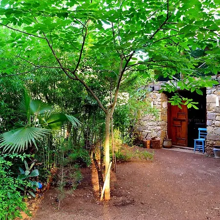 Daphne House 2* Olympos