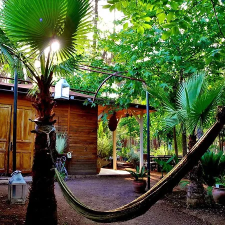 Daphne House Casa de hóspedes