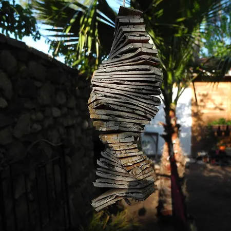 Daphne House Olympos