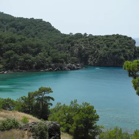 Daphne House 2* Olympos