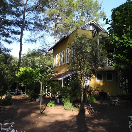 Daphne House Casa de hóspedes