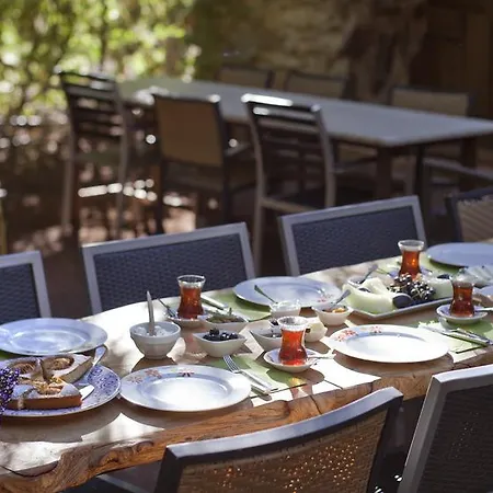 Casa de hóspedes Daphne House 2*