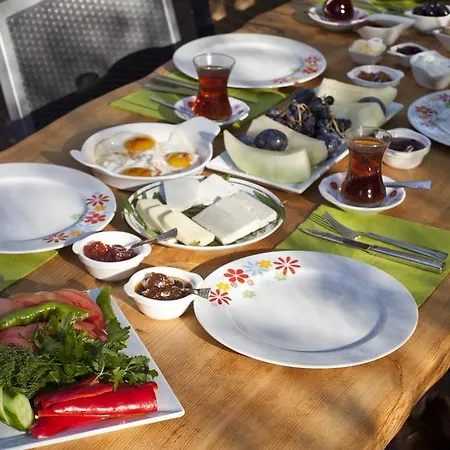 Casa de hóspedes Daphne House