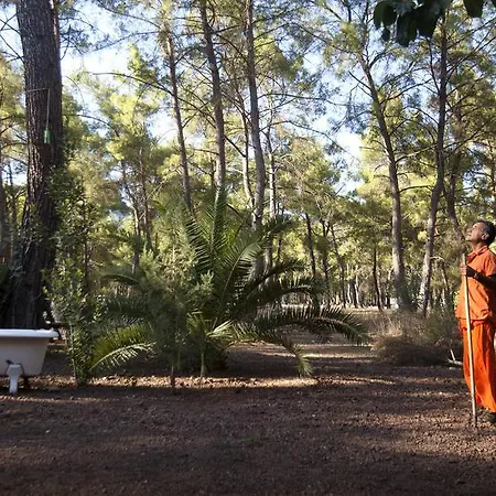 Casa de hóspedes Daphne House 2*