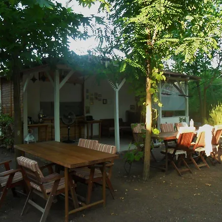 Daphne House 2* Olympos