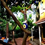 Daphne House 2*