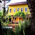 Daphne House 2* Olympos