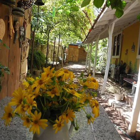 Daphne House 2*