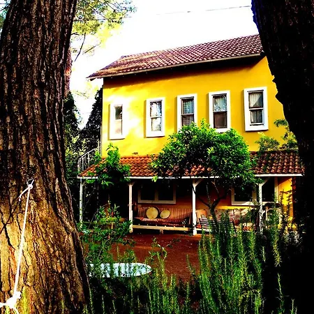 Гостевой дом Daphne House 2*