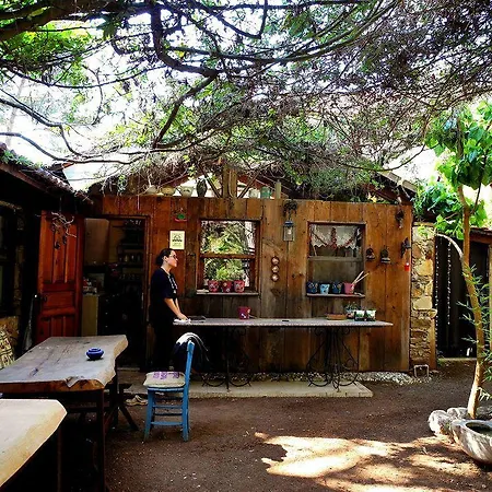 Daphne House Олимпос