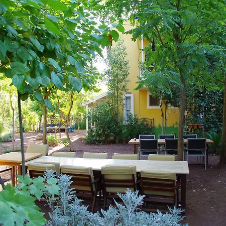 Гостевой дом Daphne House